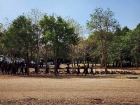 การฝึกภาคสนามนักศึกษาวิชาทหาร ชั้นปีที่ 2 ประจำปีการศึกษา 25 ... Image 192